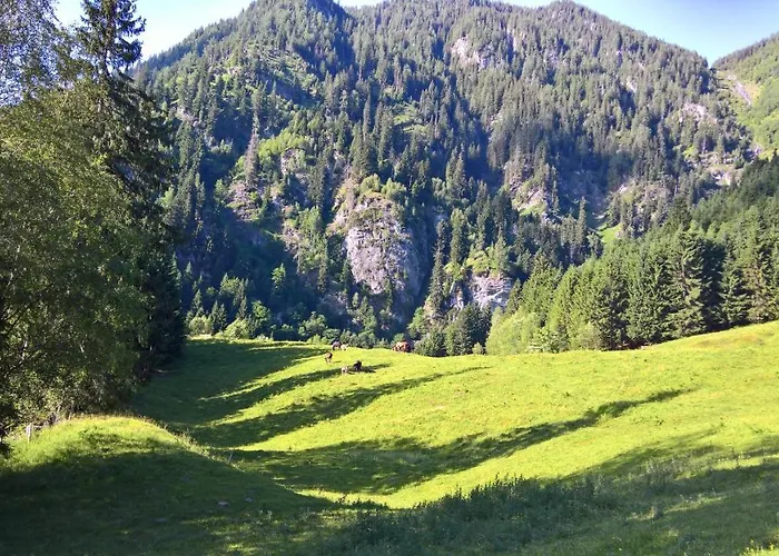 Stadt Wien 아파트 *